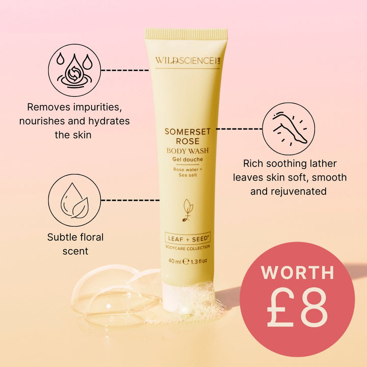 The Sun Down Edit worth over £100 - Replacement